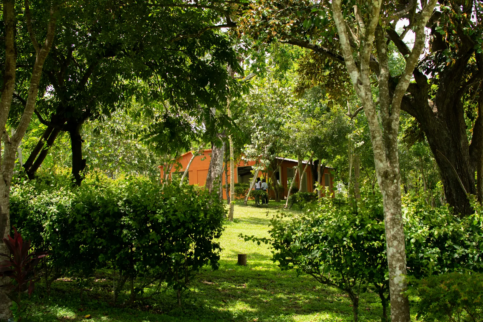 Áreas verdes de Tierra de Canaán
