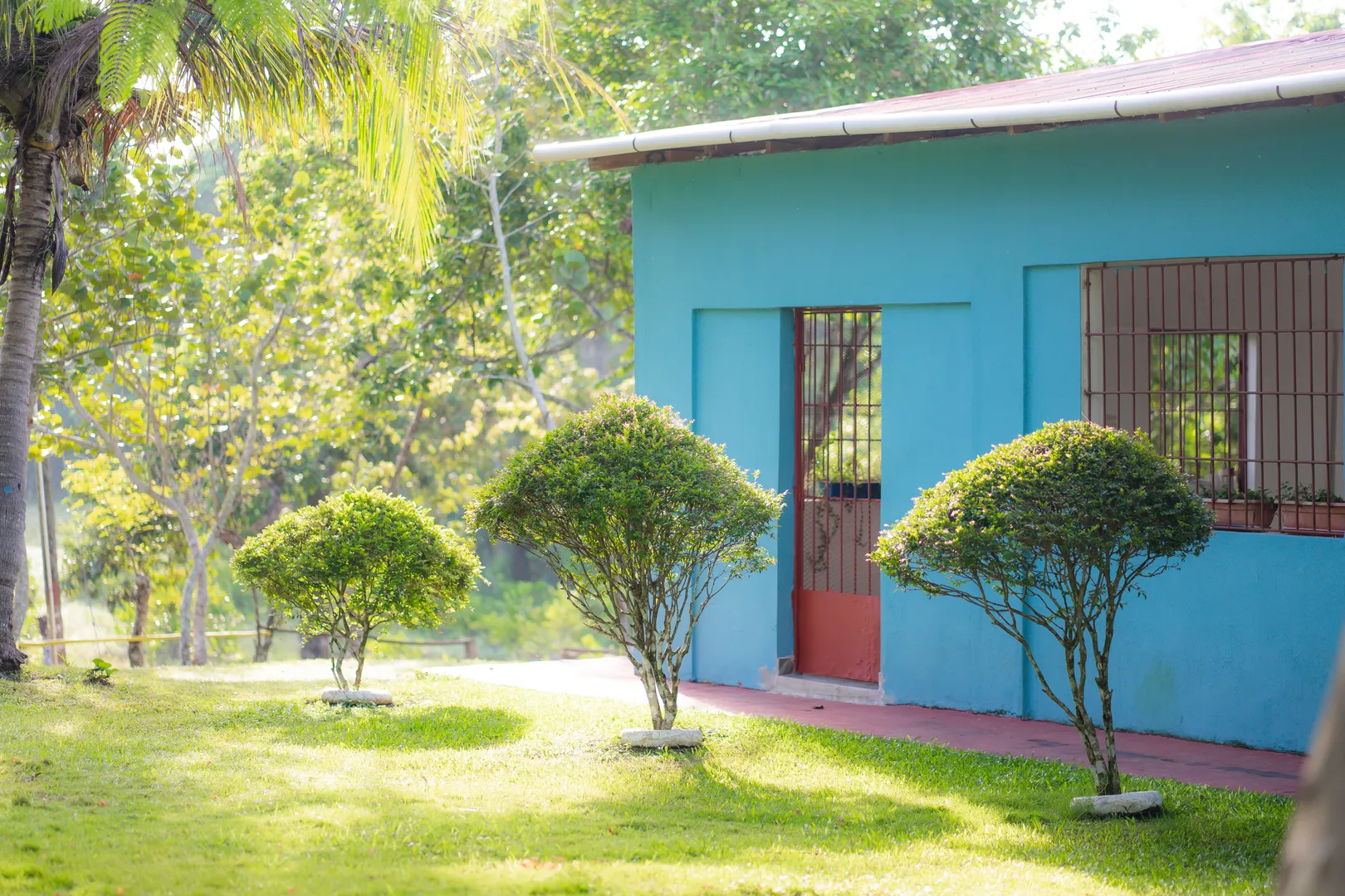 Áreas verdes de Tierra de Canaán