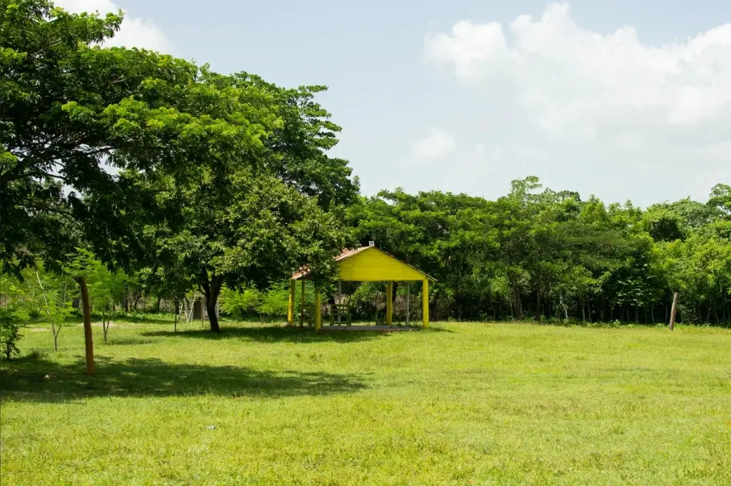 Áreas verdes — foto 2