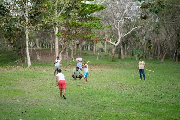 Áreas verdes — foto 5